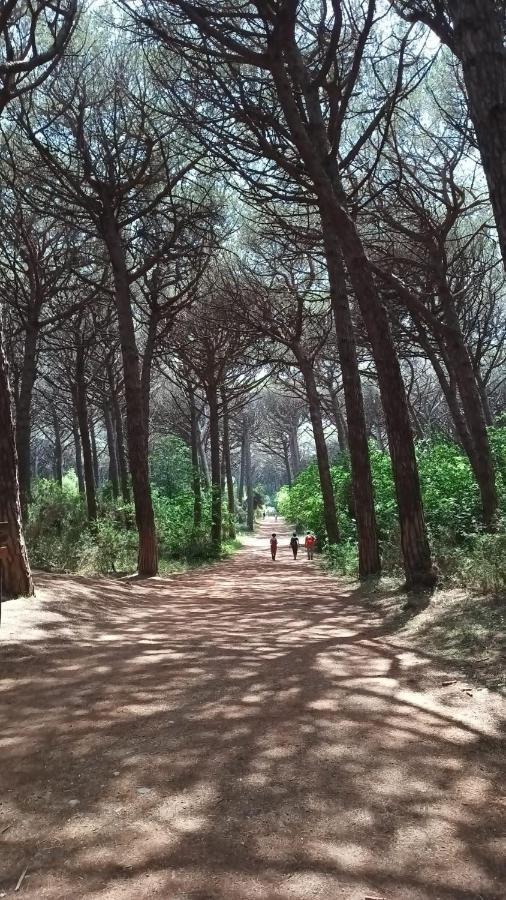 Casina Orione Διαμέρισμα Montecatini Val di Cecina Εξωτερικό φωτογραφία