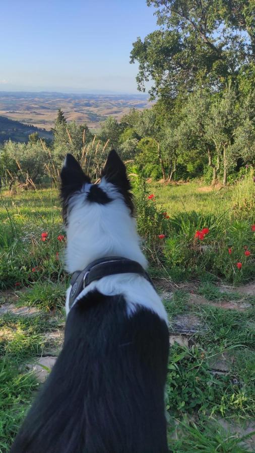Casina Orione Διαμέρισμα Montecatini Val di Cecina Εξωτερικό φωτογραφία